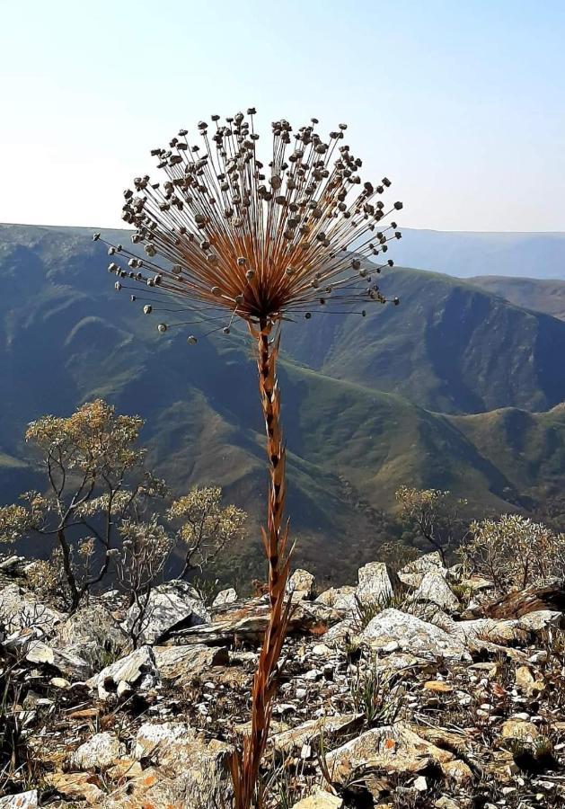 Pousada Perola Mineira بيوي المظهر الخارجي الصورة
